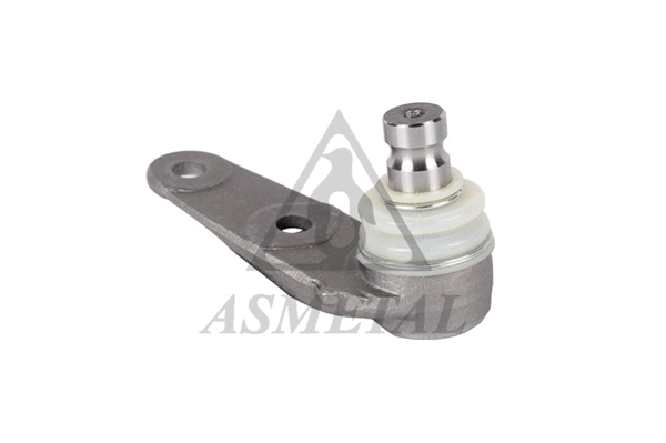 Ball Joint (10AU05)