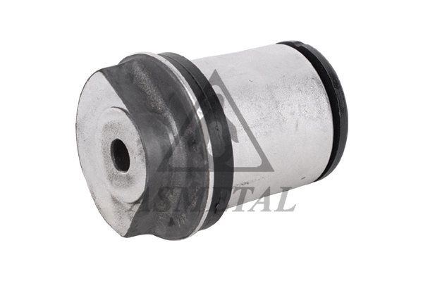 Bushing, axle beam (38OP2055)