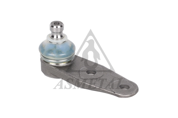 Ball Joint (10RN2000)