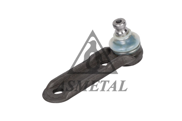Ball Joint (10RN5100)
