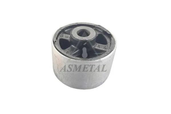 Mounting, control/trailing arm (38RN5615)