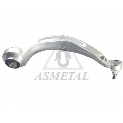 Control/Trailing Arm, wheel suspension (23AU0113B)