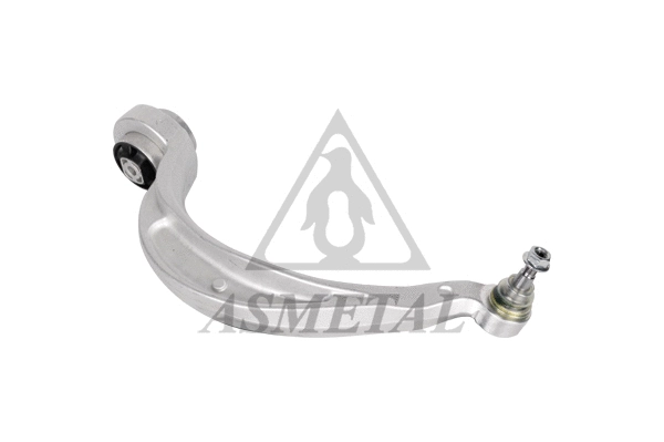 Control/Trailing Arm, wheel suspension (23AU0110)