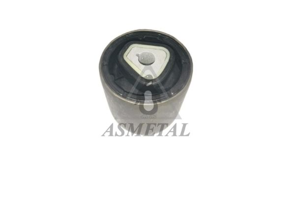 Mounting, control/trailing arm (38BM2450)