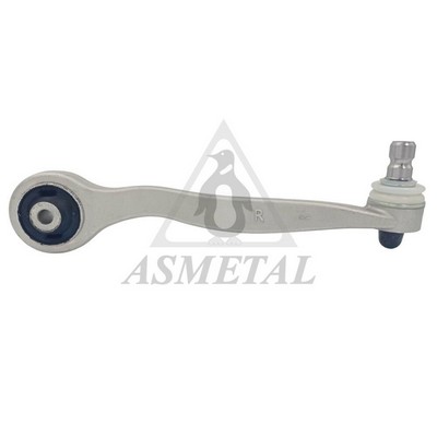 Control/Trailing Arm, wheel suspension (23AU0209B)