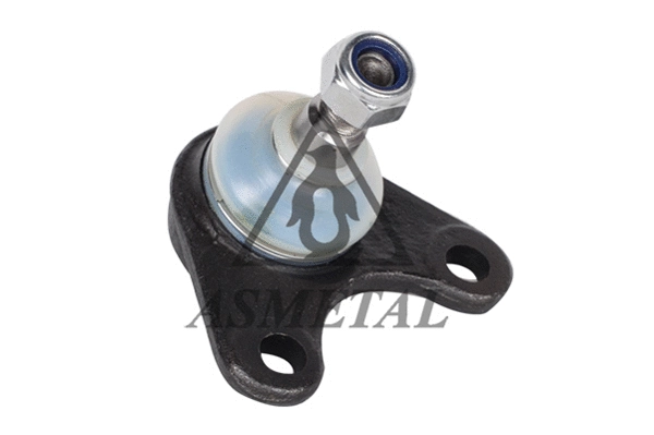 Ball Joint (10VL1030)