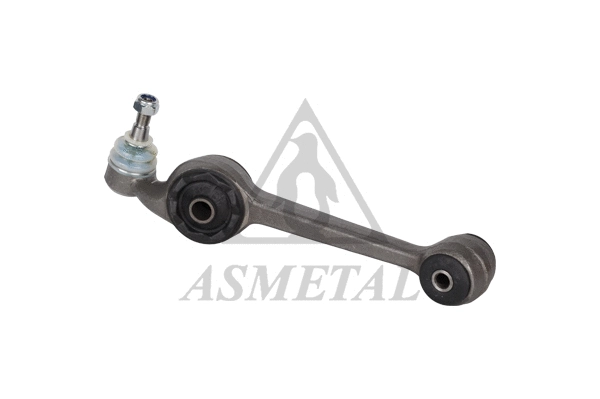Control/Trailing Arm, wheel suspension (23FR01)