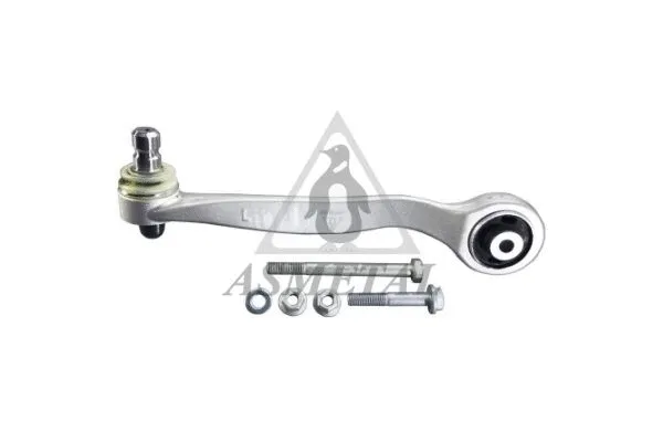 Control/Trailing Arm, wheel suspension (23AU0208)