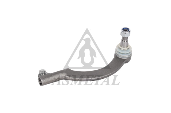 Tie Rod End (17RN1101)