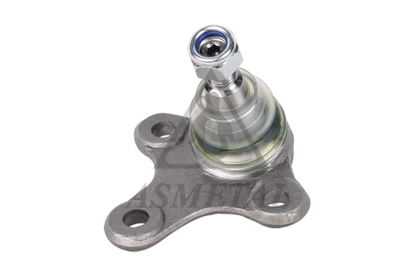 Ball Joint (10VW1601)