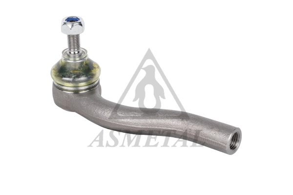 Tie Rod End (17FI5001)
