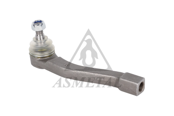 Tie Rod End (17SY0101)