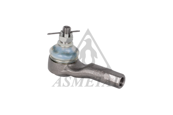 Tie Rod End (17MZ0100)
