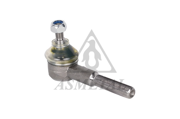 Tie Rod End (17MT0500)