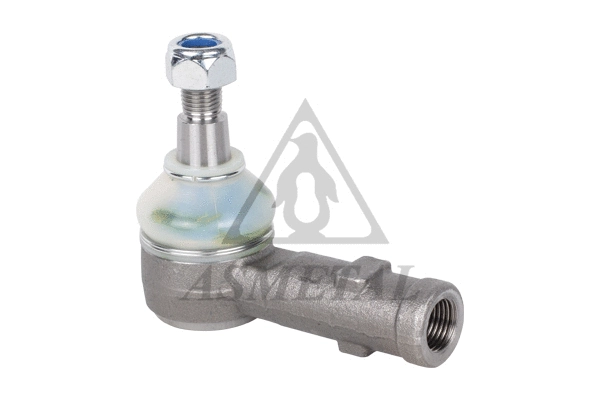 Tie Rod End (17FI3000)