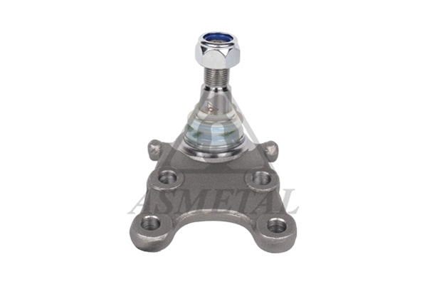 Ball Joint (10OP1005)