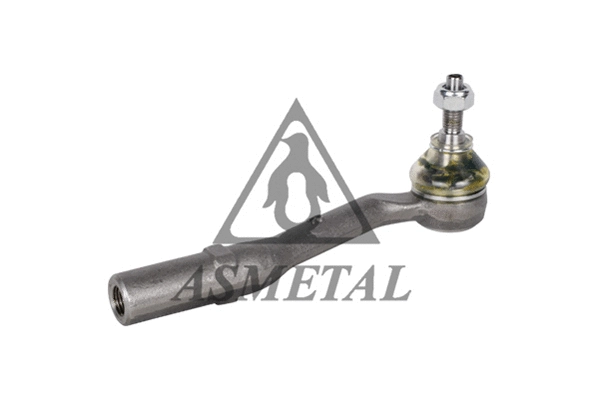 Tie Rod End (17CT0611)
