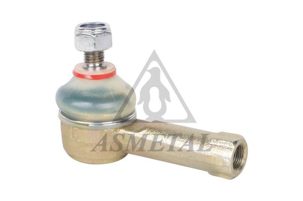 Tie Rod End (17SK0501)