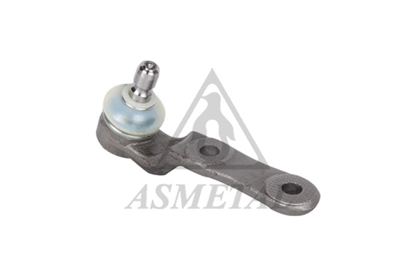 Ball Joint (10OP9130)