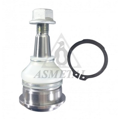 Ball Joint (10TY1600)