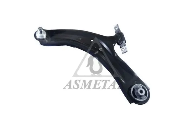 Control/Trailing Arm, wheel suspension (30NS1010)