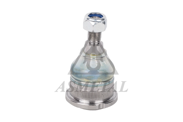 Ball Joint (10RN5205)