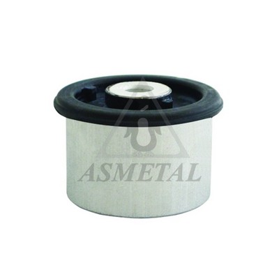 Mounting, control/trailing arm (38AU1306)