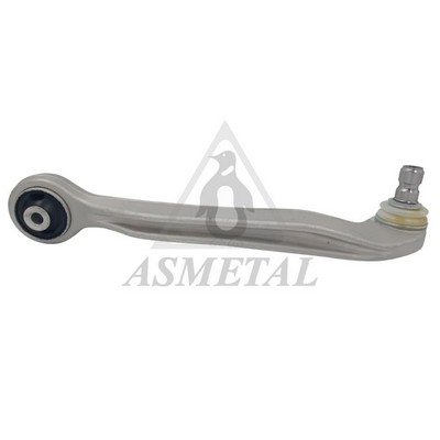 Control/Trailing Arm, wheel suspension (23AU0207B)