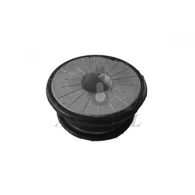 Bushing, axle bracket (38VW1503)