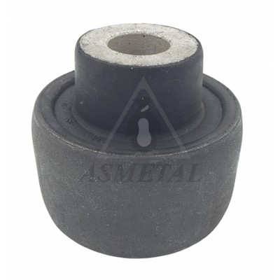 Mounting, control/trailing arm (38VL0507)