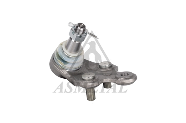 Ball Joint (10TY1010)