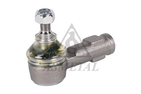Tie Rod End (17FR21)