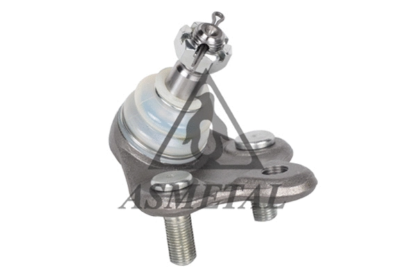 Ball Joint (10TY0205)
