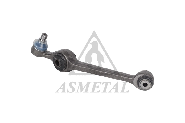 Control/Trailing Arm, wheel suspension (23FR0501)