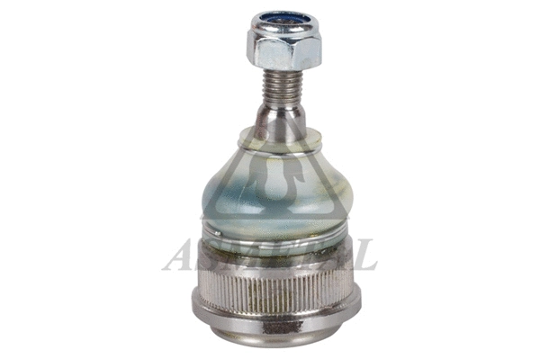 Ball Joint (10CT1001)