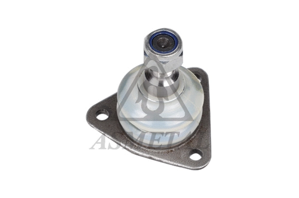 Ball Joint (10RN1000)