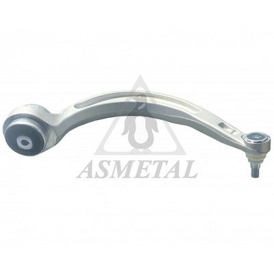 Control/Trailing Arm, wheel suspension (23AU0131B)