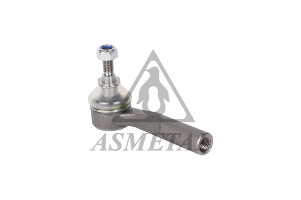 Tie Rod End (17FI3505)