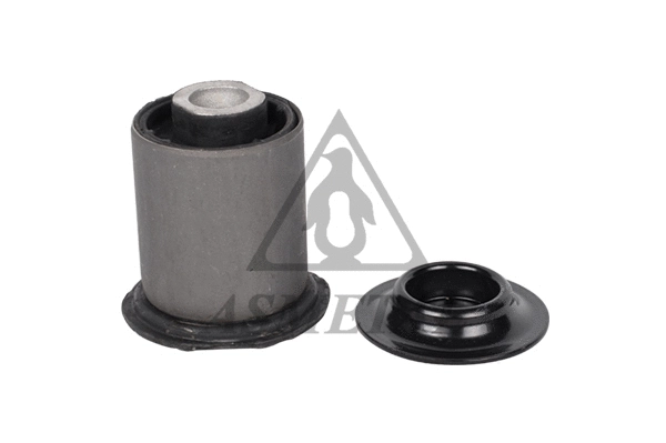 Mounting, control/trailing arm (38MR0521)