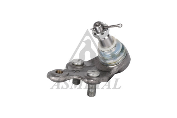 Ball Joint (10TY1011)