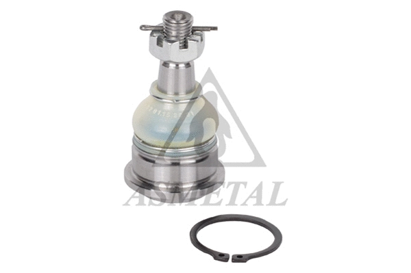 Ball Joint (10NS00)