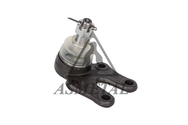 Ball Joint (10TY0500)