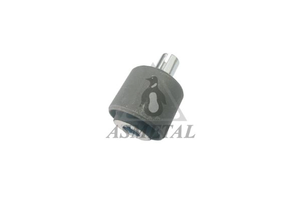 Mounting, control/trailing arm (38MR0508)