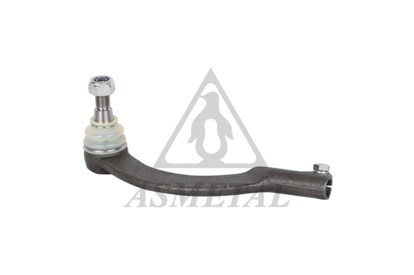 Tie Rod End (17RN1100)
