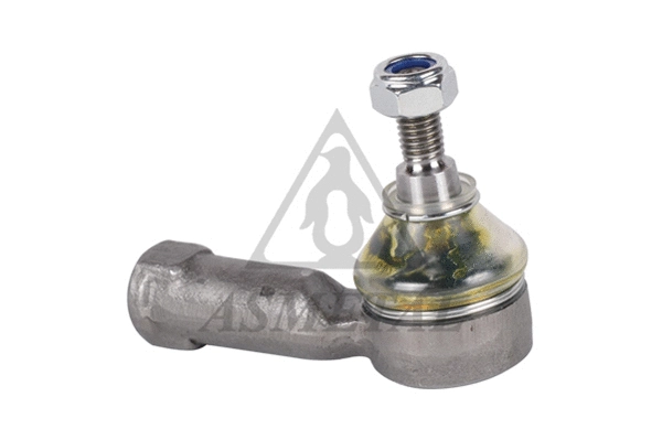 Tie Rod End (17FR1801)