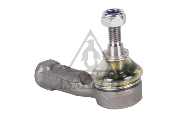 Tie Rod End (17FR1901)