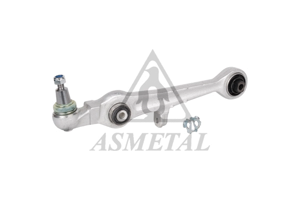 Control/Trailing Arm, wheel suspension (23AU0230)