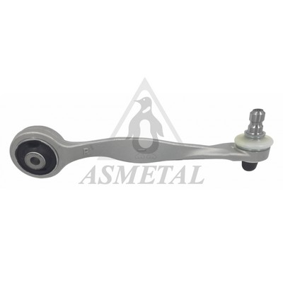 Control/Trailing Arm, wheel suspension (23AU0203B)
