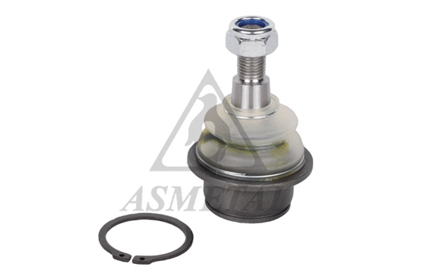 Ball Joint (10SY0100)