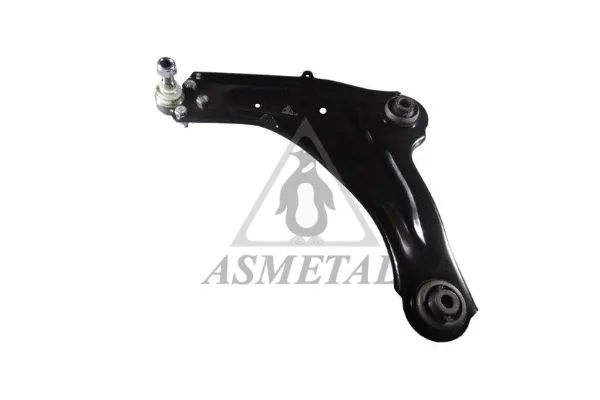 Control/Trailing Arm, wheel suspension (30RN0510)